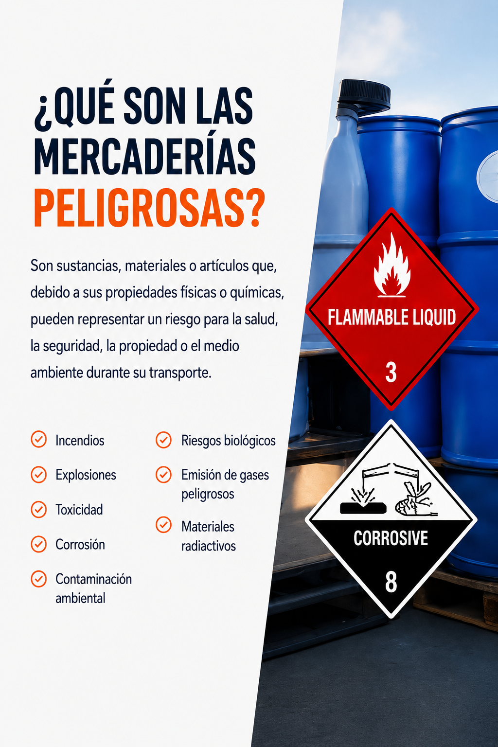 Mercaderias Peligrosas - Pagina 2